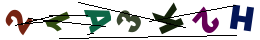 nrcode